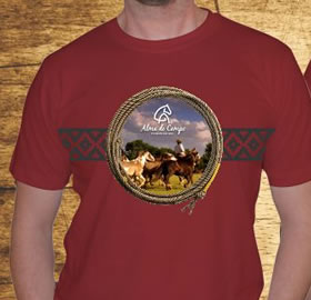 Camiseta panos